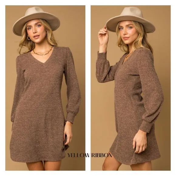 🆕 Long Sleeve V-Neck Mini Dress
