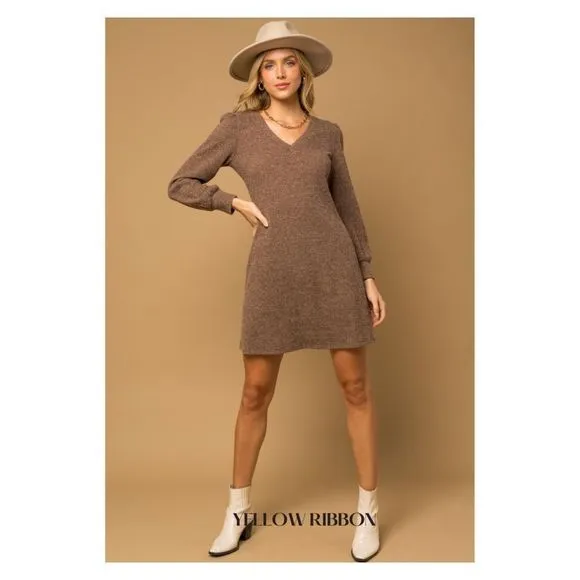 🆕 Long Sleeve V-Neck Mini Dress