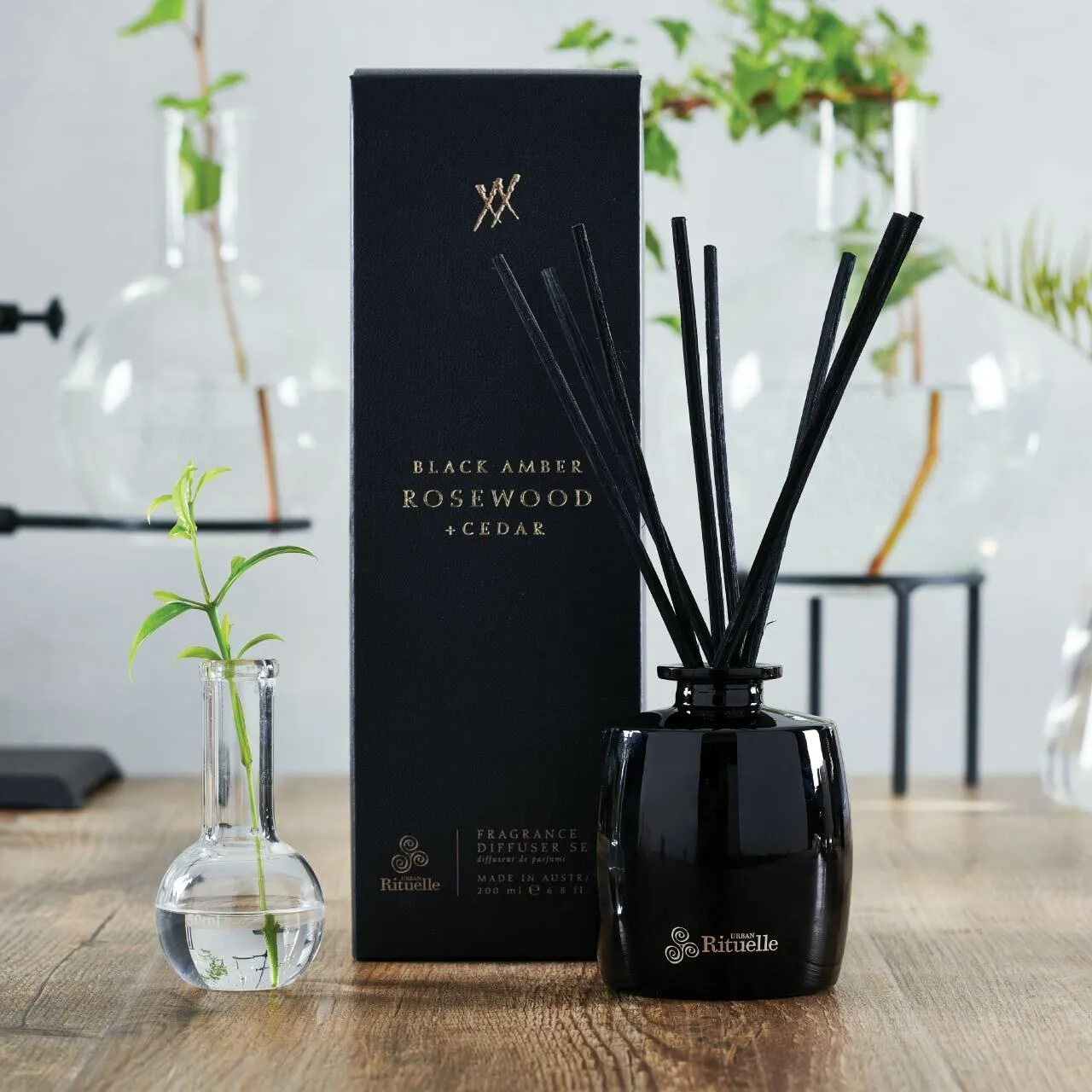 Alchemy Black Amber, Rosewood & Cedar Fragrance Diffuser Set