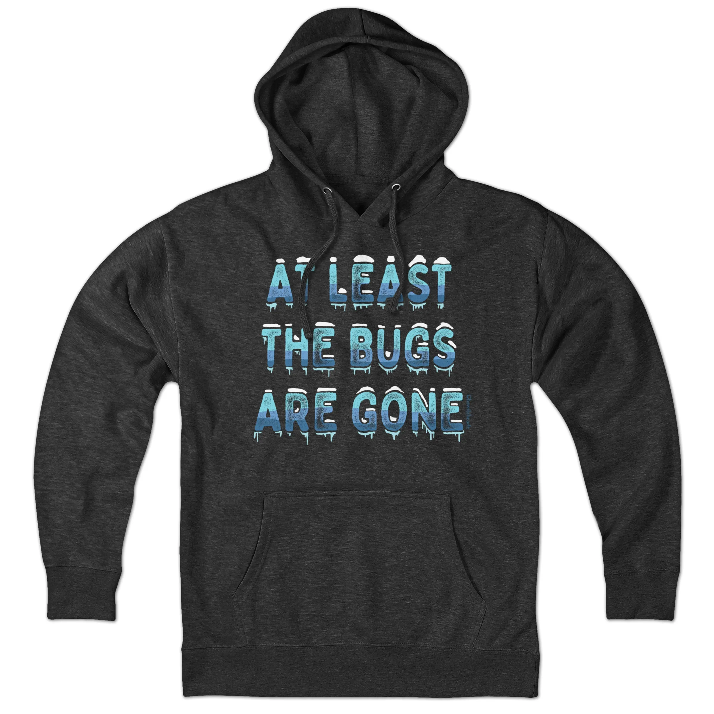 At Least The Bugs Are Gone Hoodie