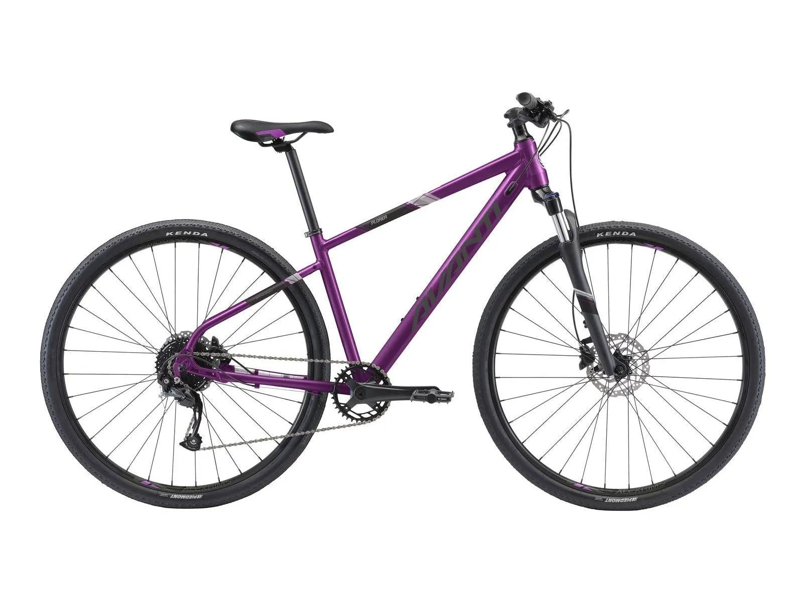 AVANTI X-PLORER MS 2