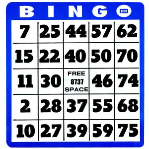Bingo Card - Large Print
