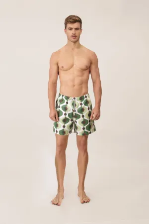 Bloomy Pantaloneta - Origen