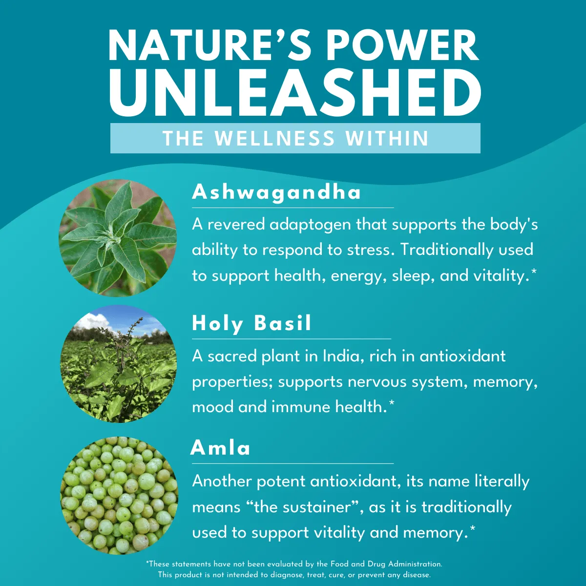 Bold Ashwagandha Plus