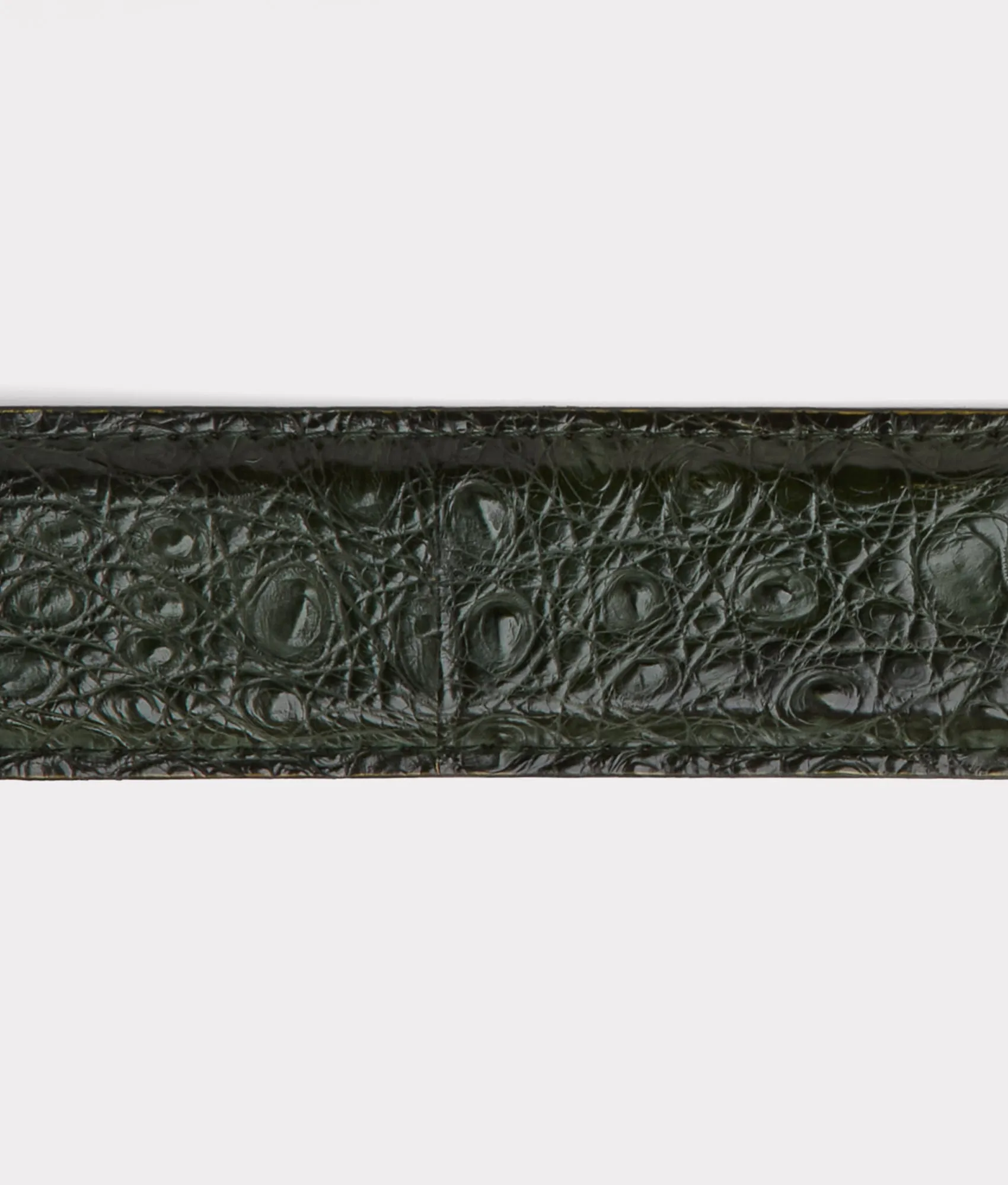 Buckaroo Belt :: Jungle Green