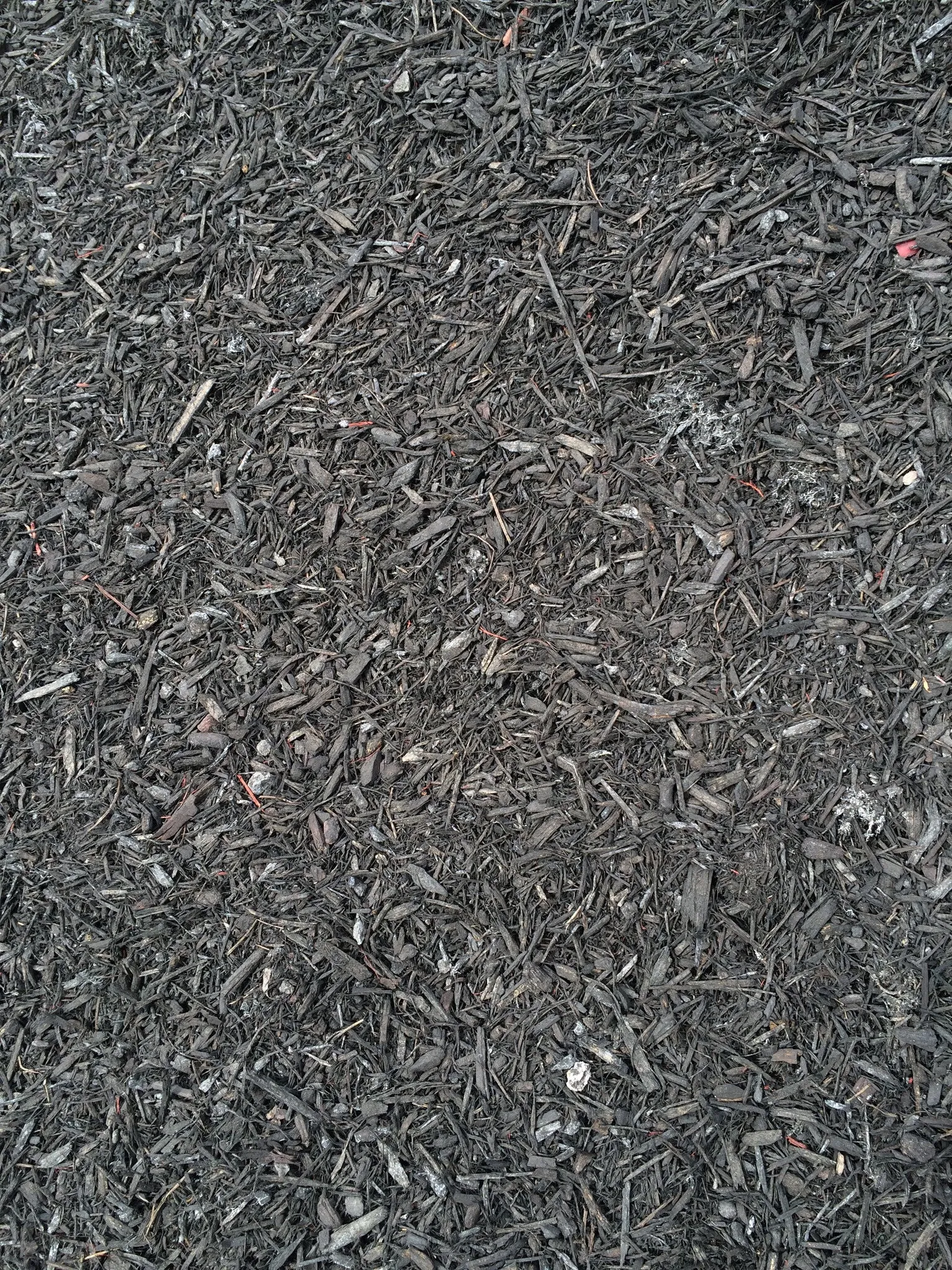 BULK MIGHTY109 Bold Black Mini Mulch