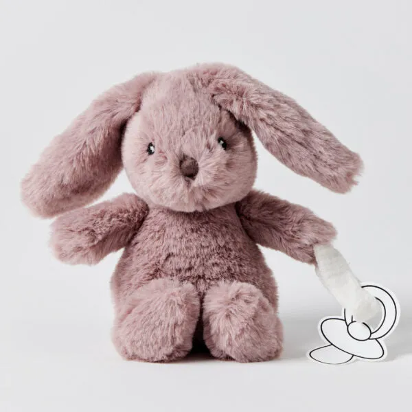 Bunny Plush Toy & Dummy Holder - Assorted