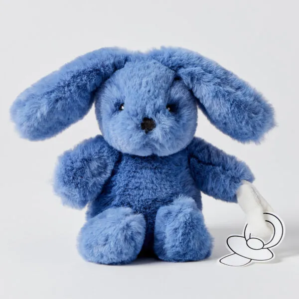 Bunny Plush Toy & Dummy Holder - Assorted