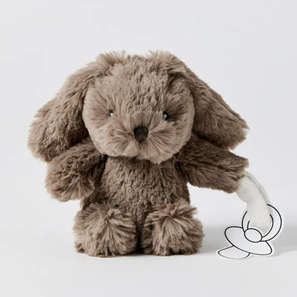 Bunny Plush Toy & Dummy Holder - Assorted