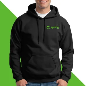 BUZO LOGO LAT DEVELOPER SPRING
