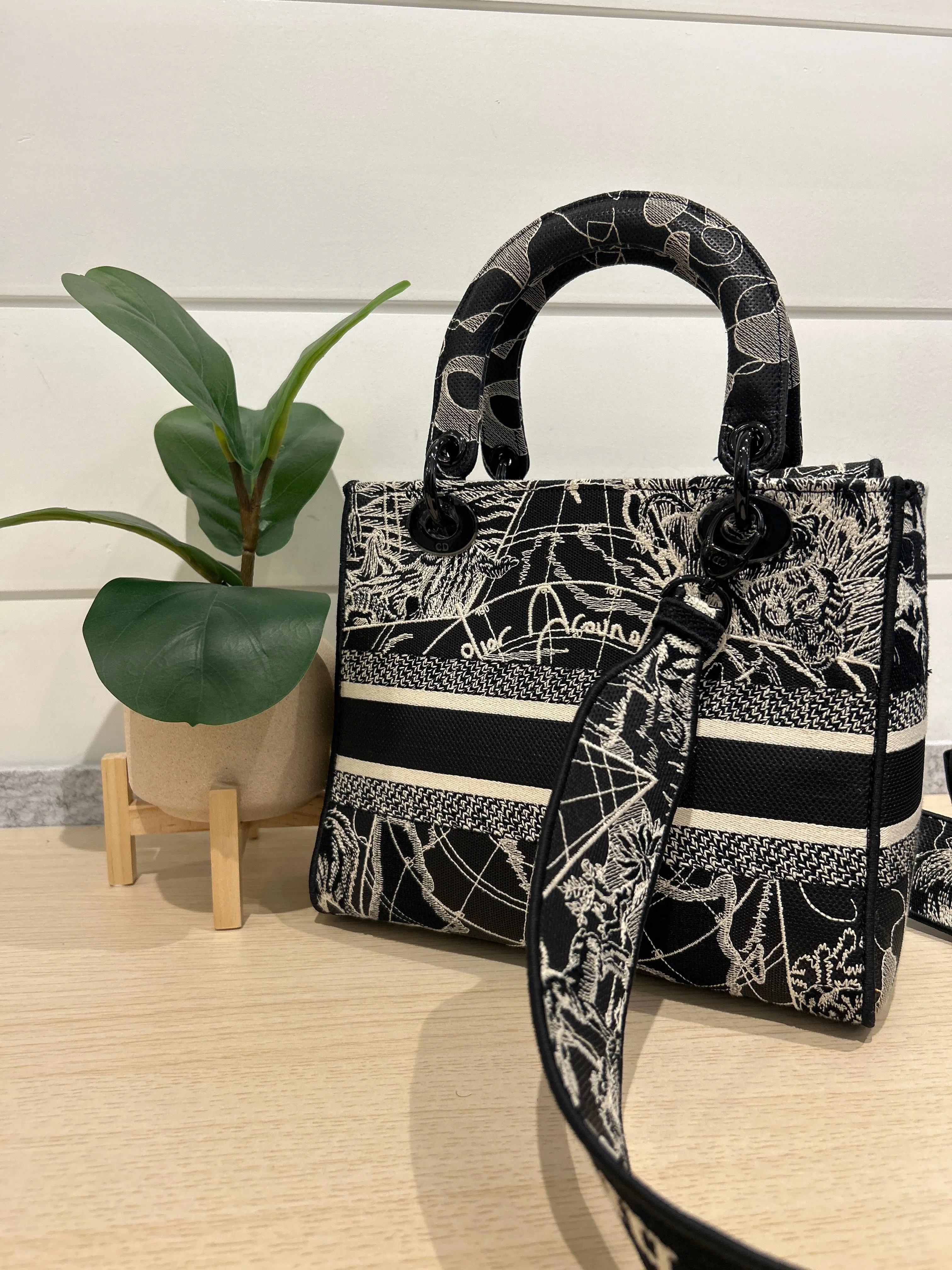 Christian Dior Bag, Toile de Jouy Embroidered Medium Lady Bag