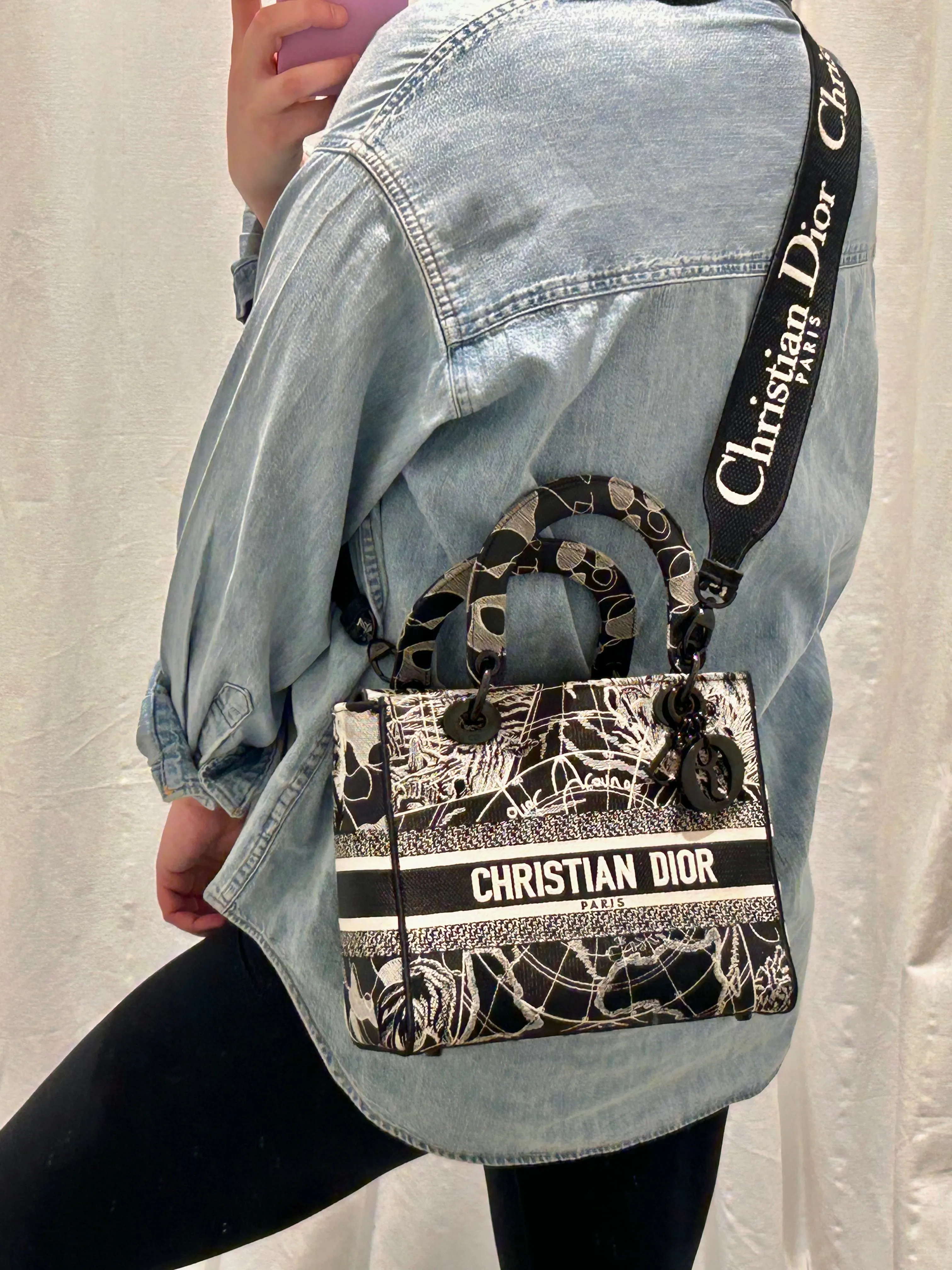 Christian Dior Bag, Toile de Jouy Embroidered Medium Lady Bag
