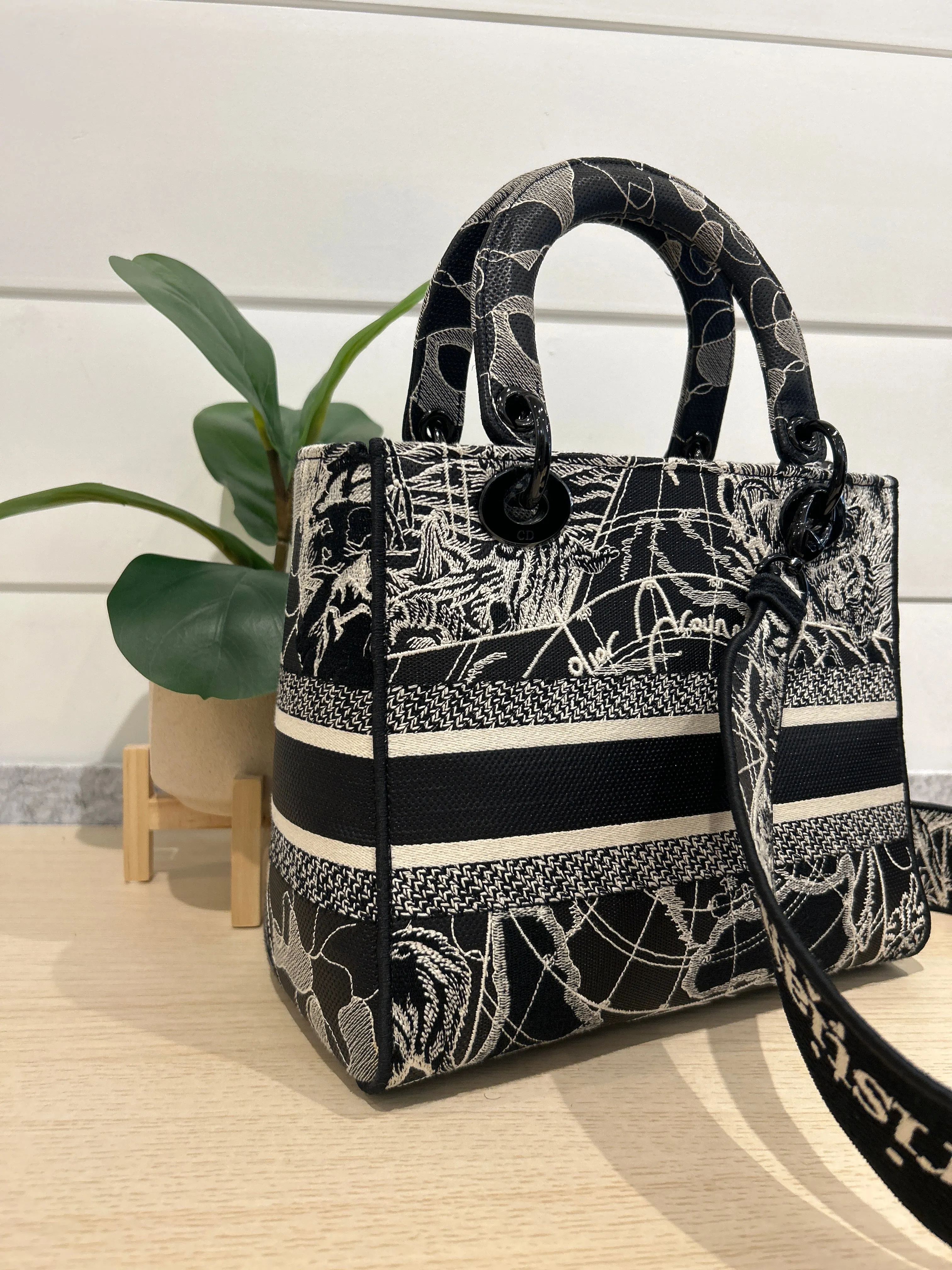 Christian Dior Bag, Toile de Jouy Embroidered Medium Lady Bag