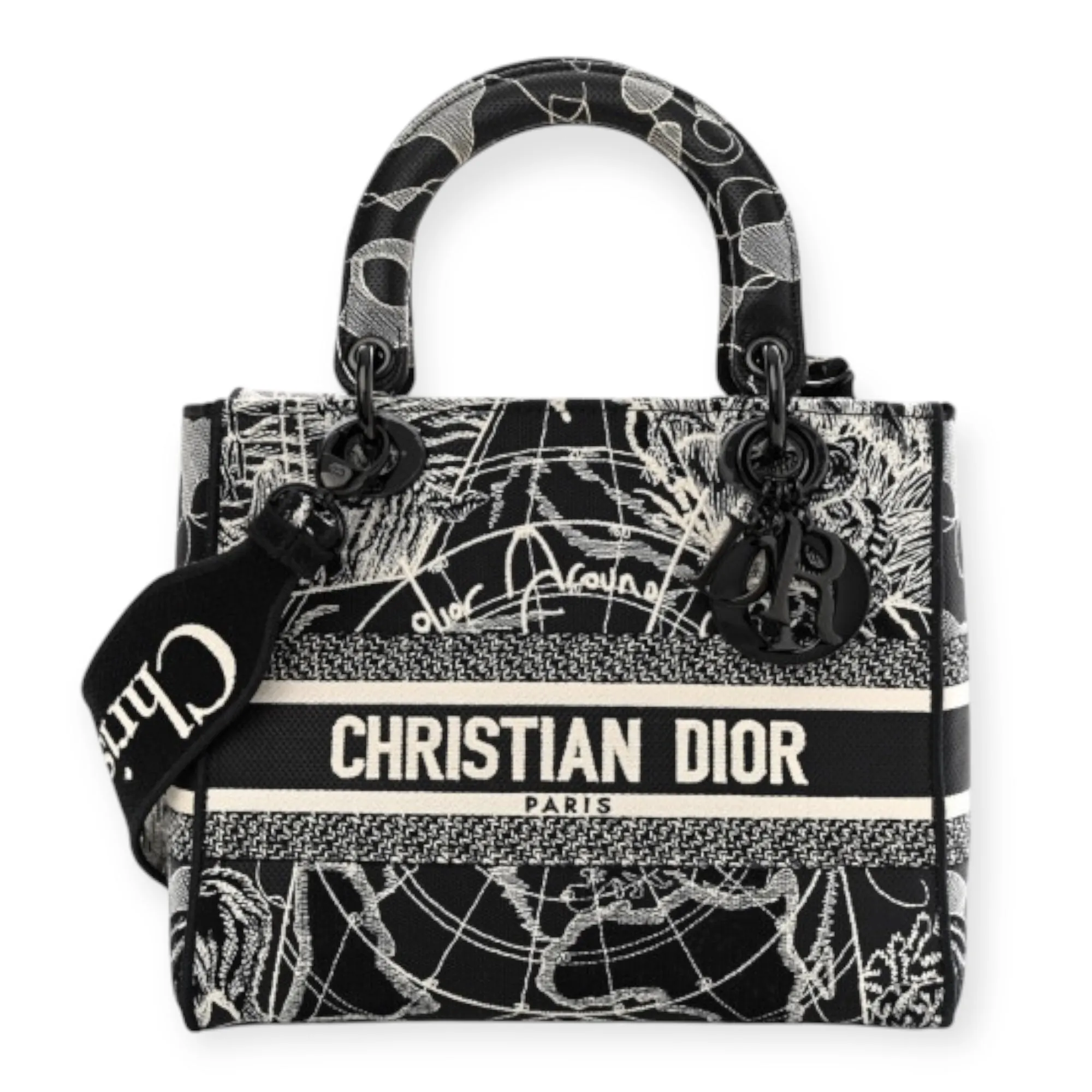 Christian Dior Bag, Toile de Jouy Embroidered Medium Lady Bag