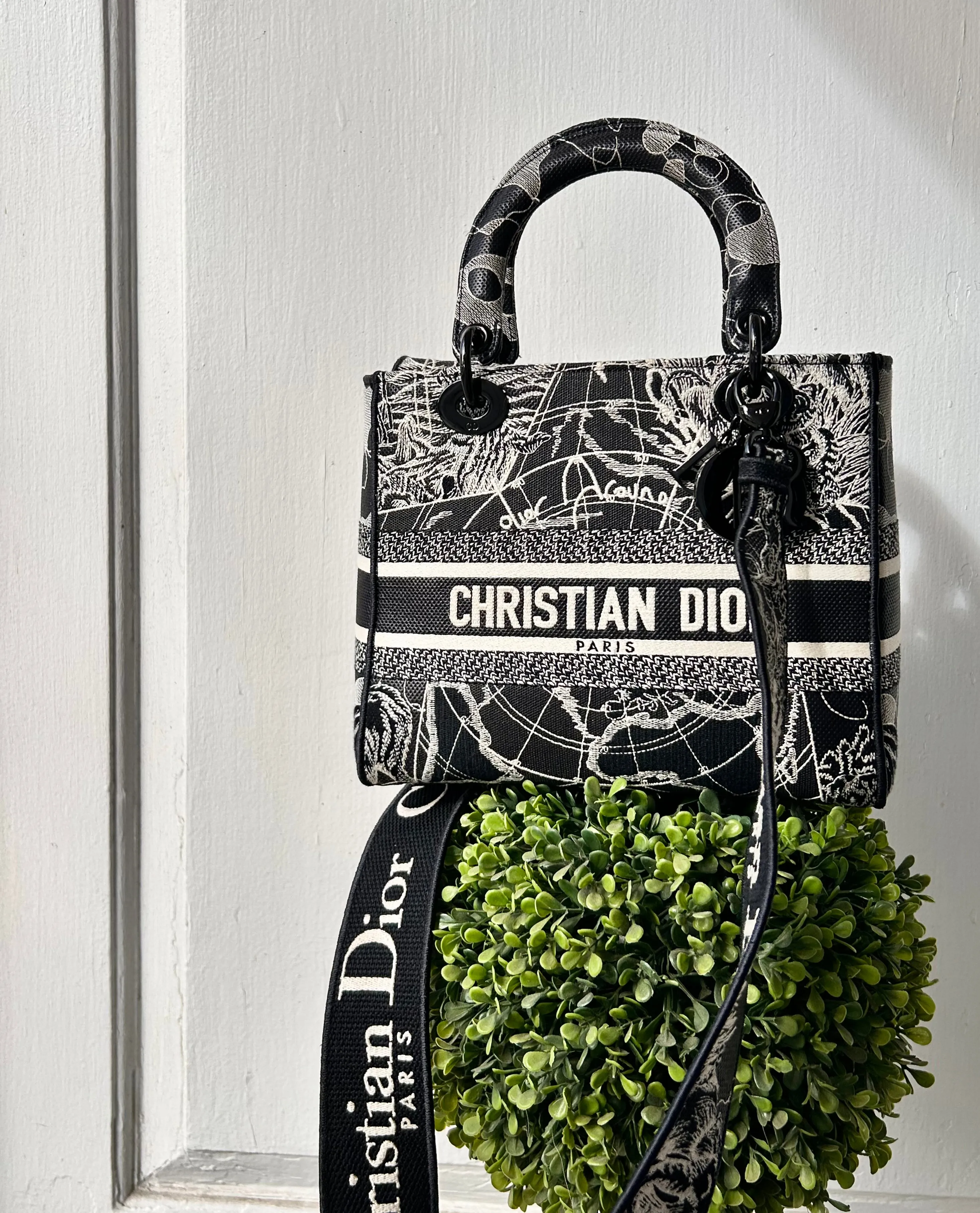 Christian Dior Bag, Toile de Jouy Embroidered Medium Lady Bag