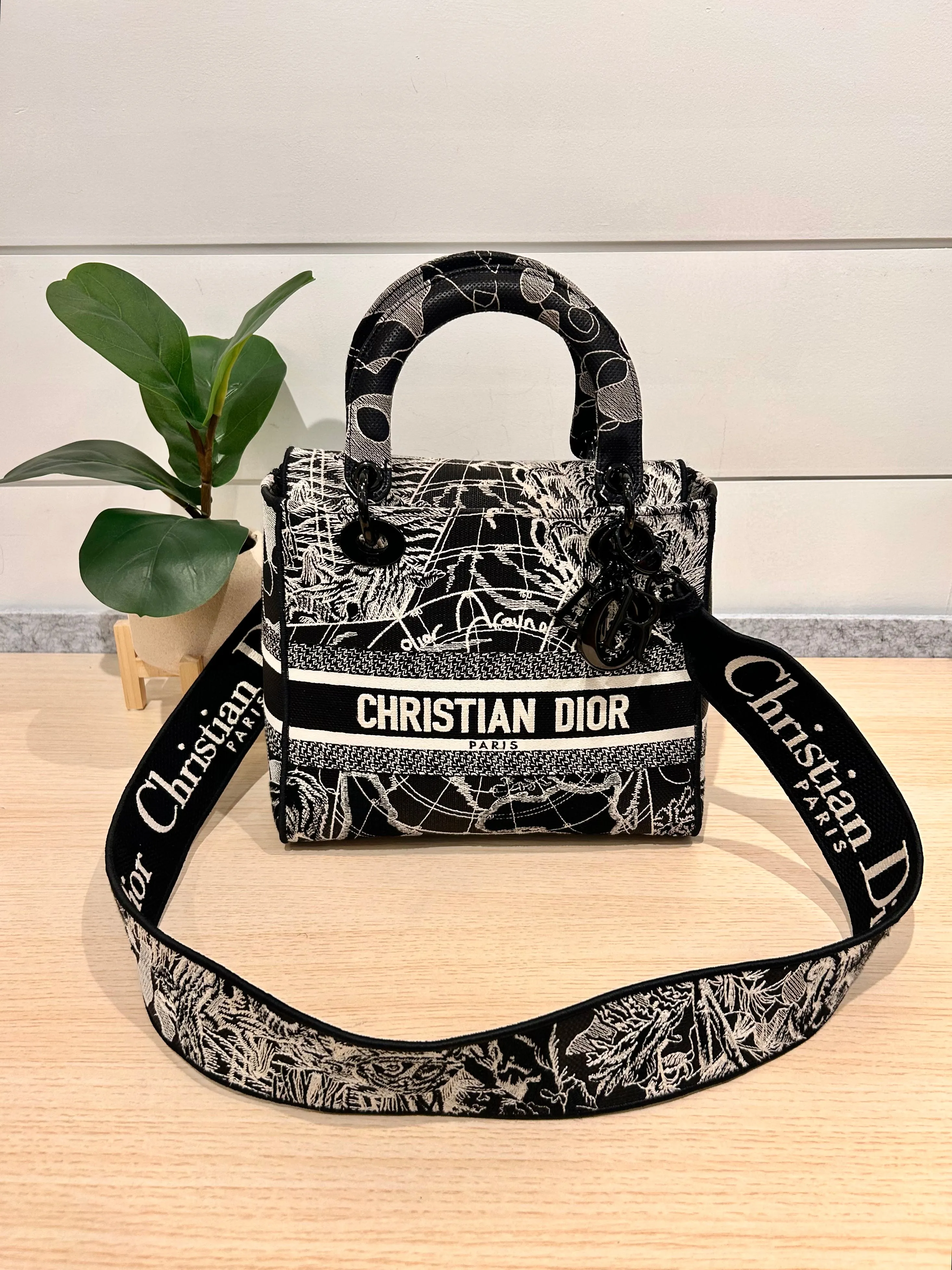 Christian Dior Bag, Toile de Jouy Embroidered Medium Lady Bag