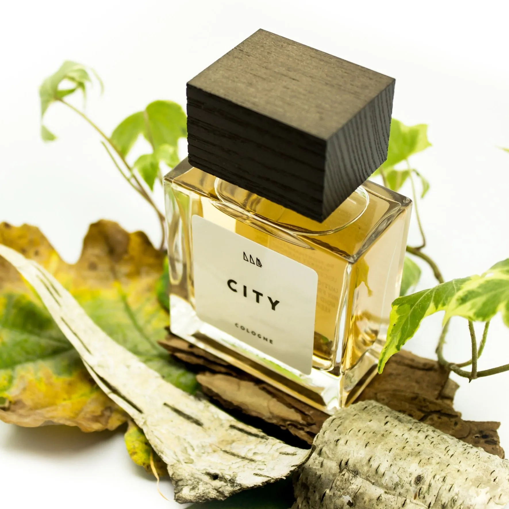 City | Refined   Aromatic | Fougere Men's Scent
