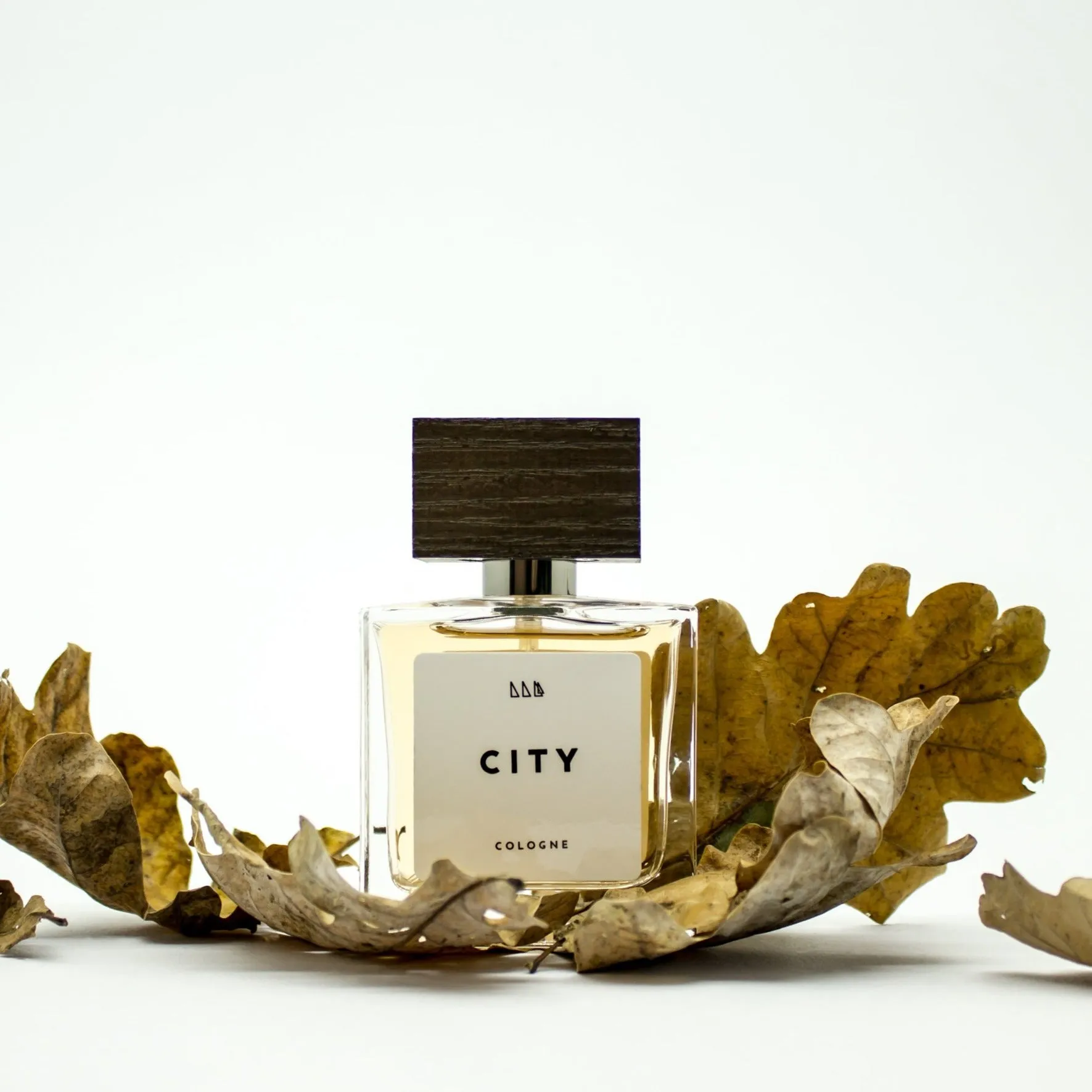 City | Refined   Aromatic | Fougere Men's Scent
