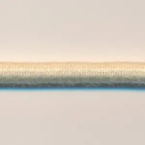 Cotton Elastic Cord #65 Muscat