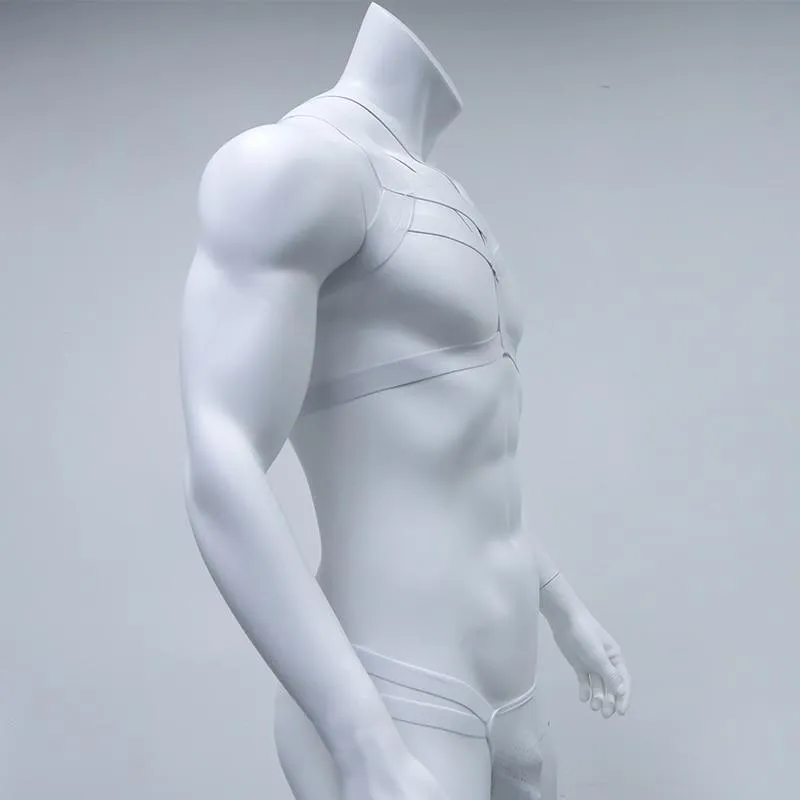 Elastic Chest Harness   Jockstrap