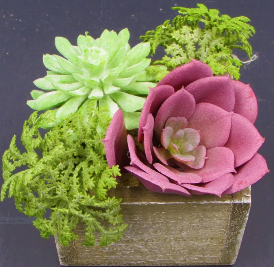Faux Succulent Plants