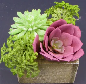 Faux Succulent Plants
