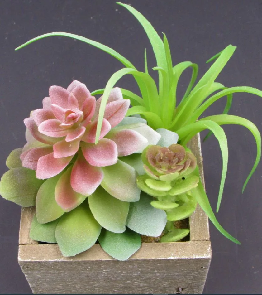 Faux Succulent Plants