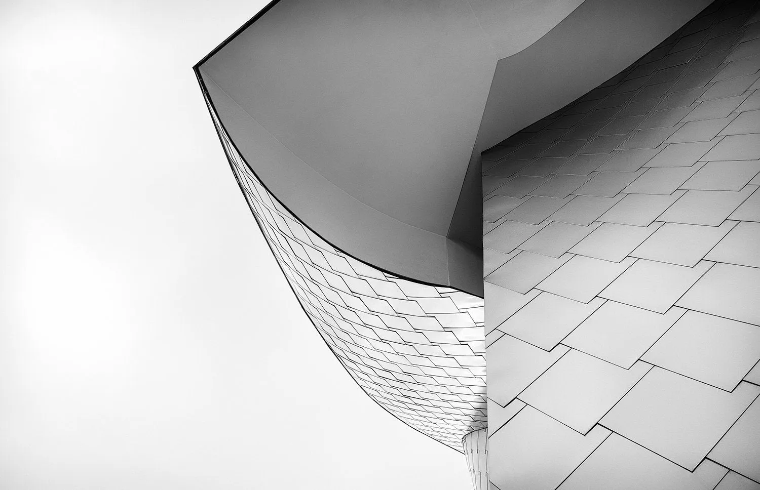 frank gehry study no.1