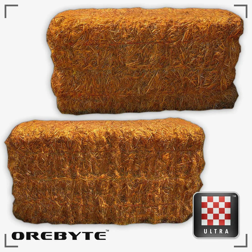 Hay Bale 01