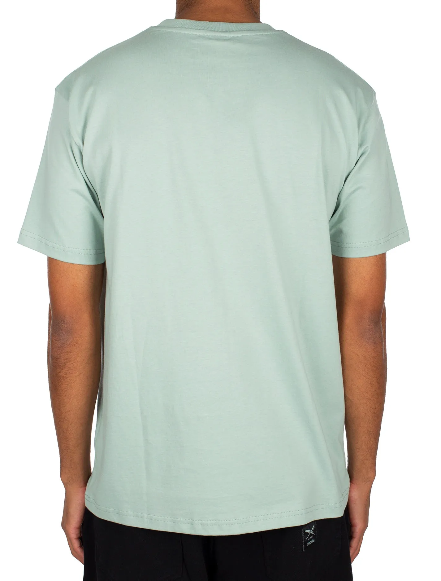 Iriedaily Lazy Sunny Day Emb T-shirt - Mint haze