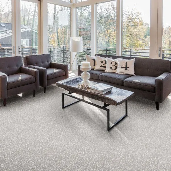 Lazy Day Home Theater Carpet