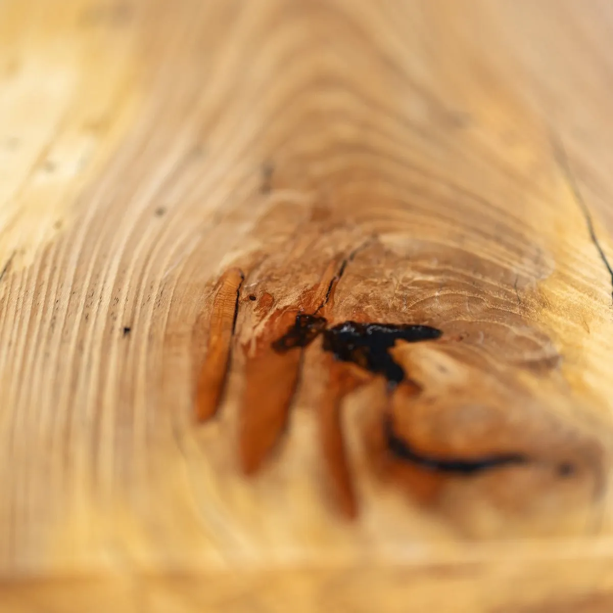 Live Edge Urban Wood and Cast Bronze Console Table | Lakehouse Pedestal Table