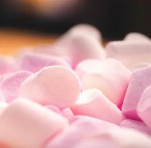 Marshmallow Sandalwood Fragrance Oil