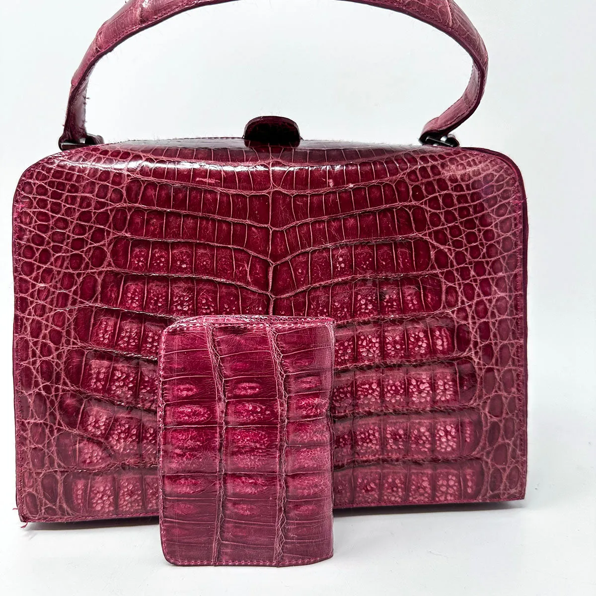 Nancy Gonzalez Handle Bag