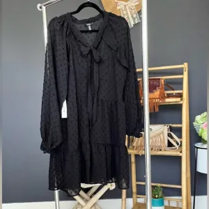 NWT Aqua black knee length swiss dot dress