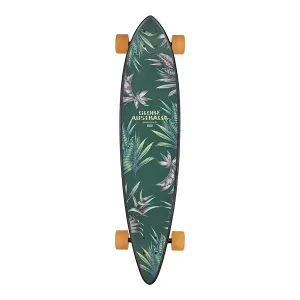 Pintail 37 - Kookaburra
