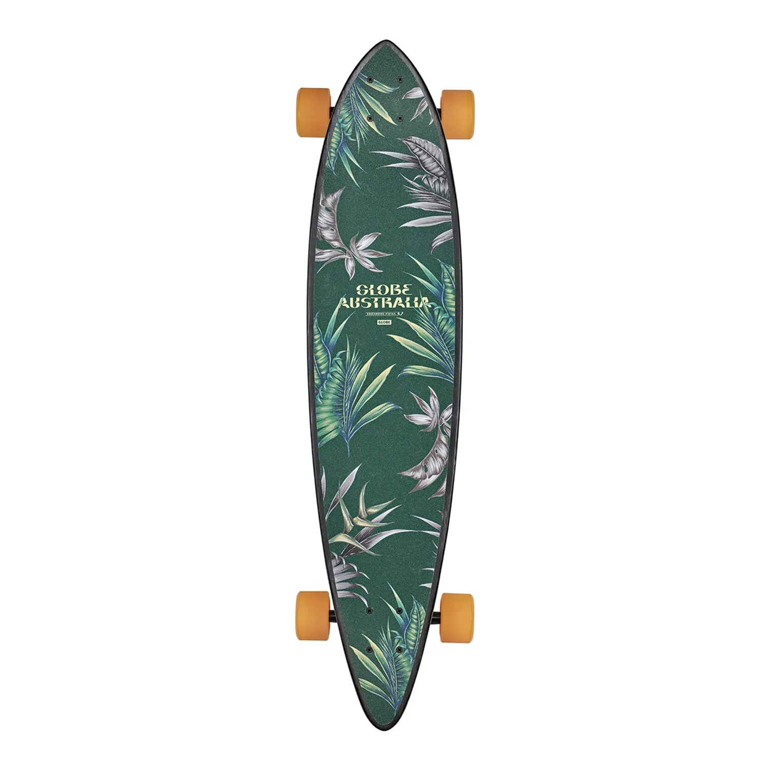 Pintail 37 - Kookaburra