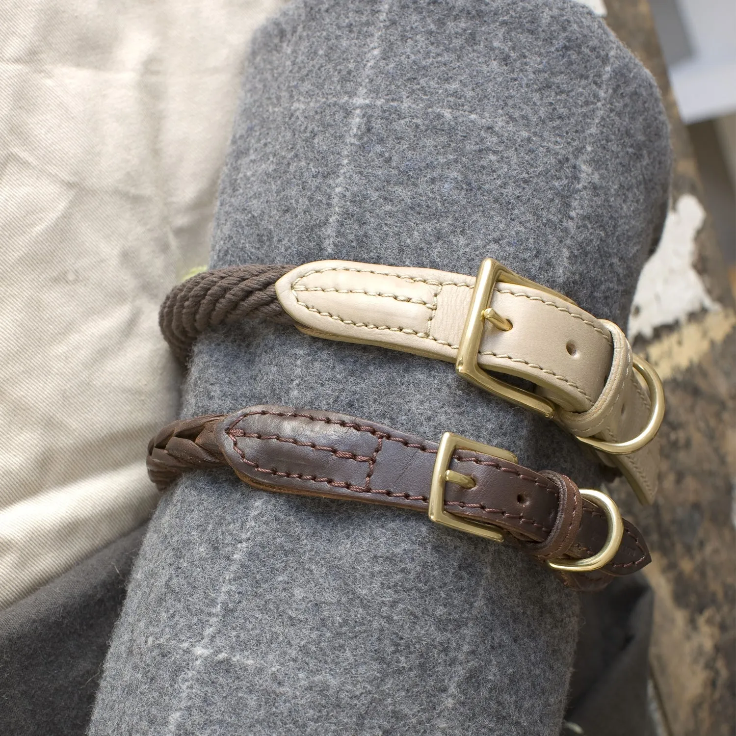 Plaited Leather Dog Collar
