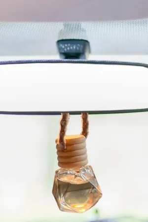 Pumpkin Apple Car Diffuser