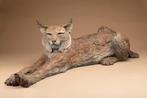 Purrfect Lazy Day