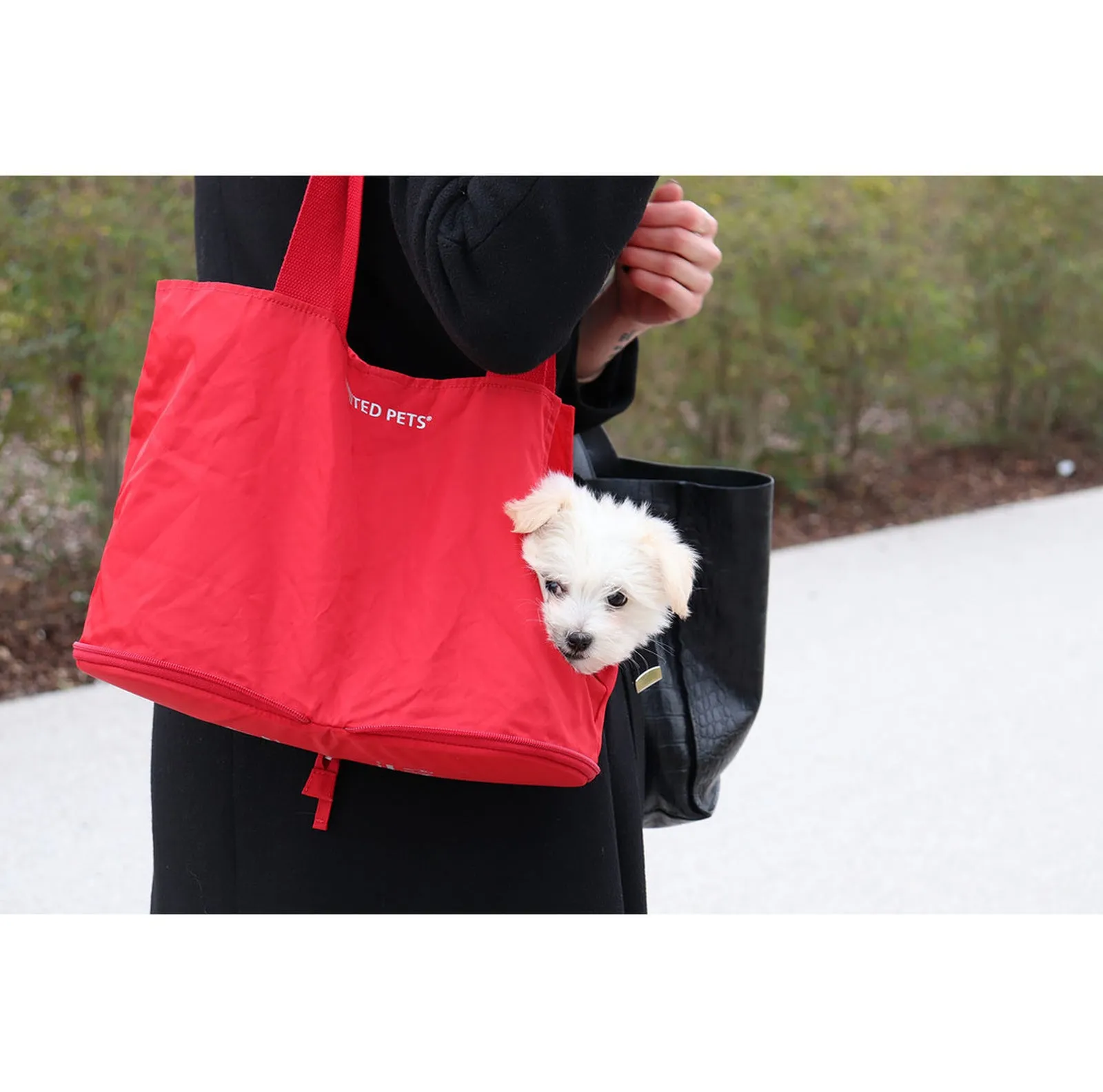 Sac de poche pour petit chien lazy dog