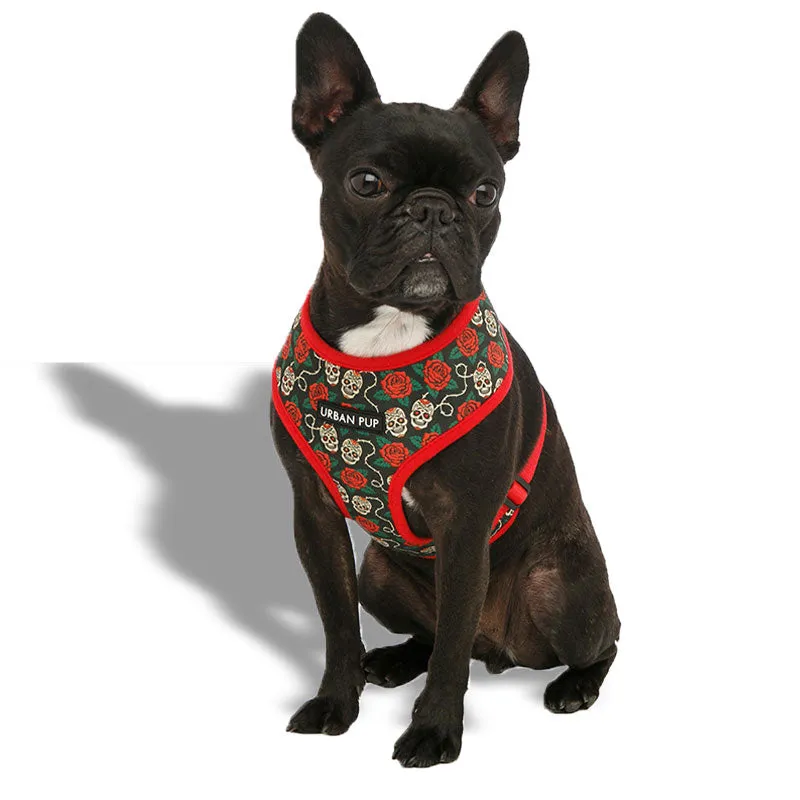 [SET] Pettorina e guinzaglio Skull Rose - Urban Pup