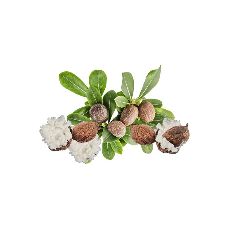 Shea Butter Pure Refined (Vitellaria paradoxa Butyrospermum parkii)