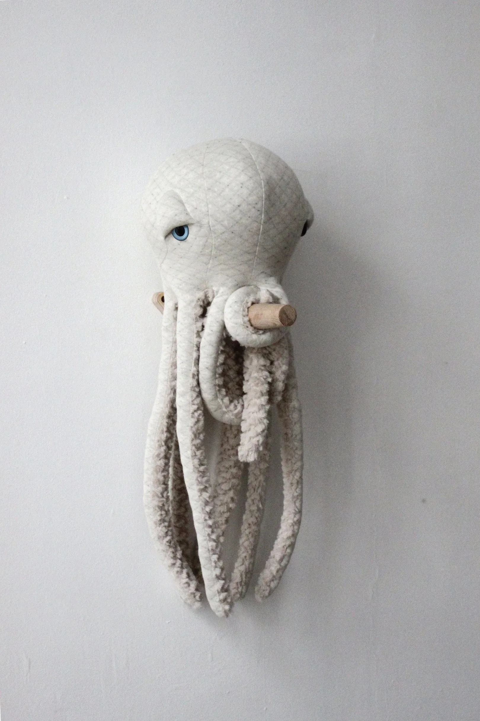 Small Octopus - Albino
