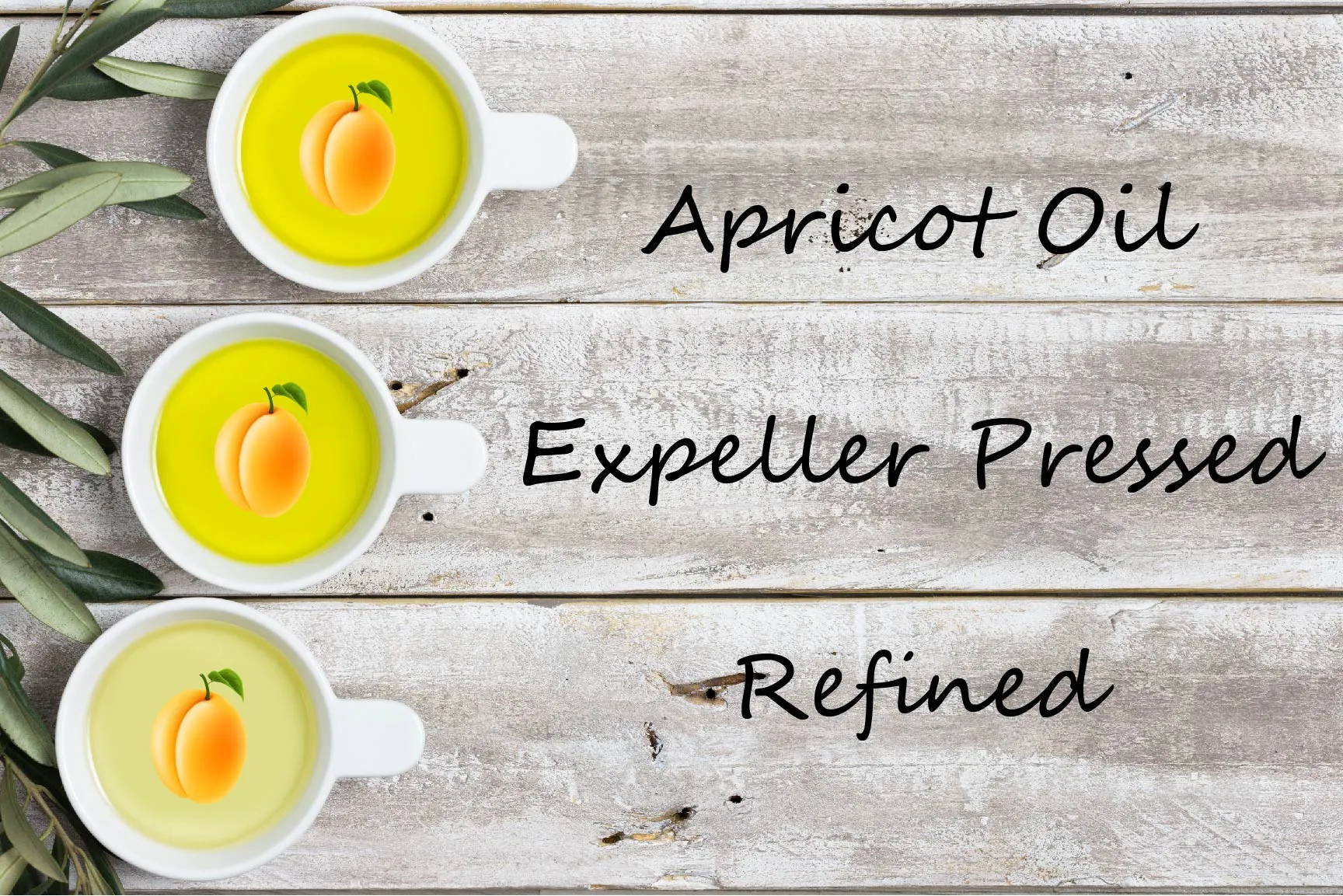 Specialty Oil - Apricot Kernel Oil - Expeller Pressed