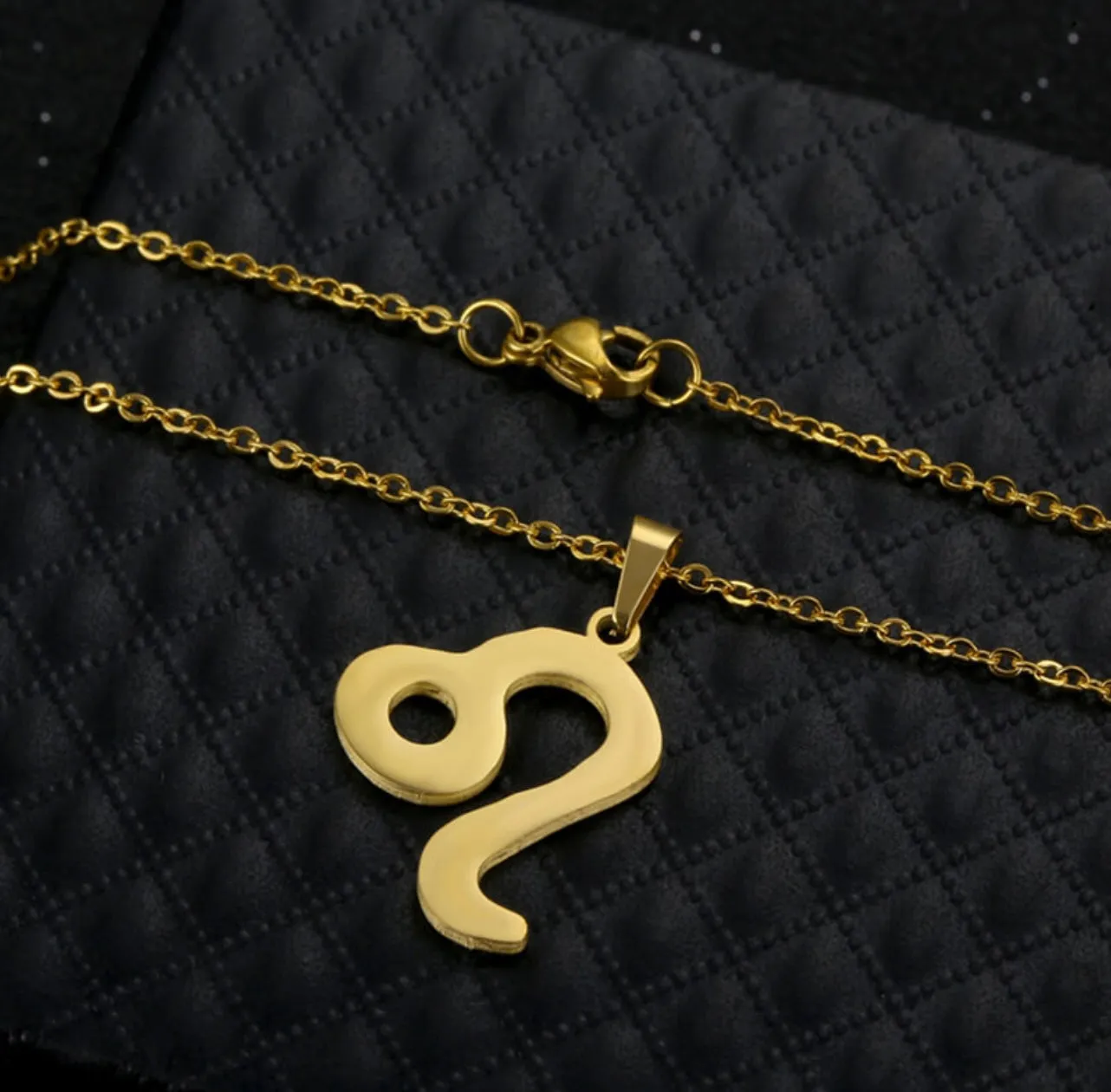 Stainless Steel Zodiac Necklace & Earrings Set