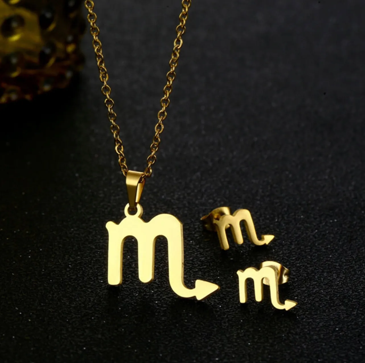 Stainless Steel Zodiac Necklace & Earrings Set