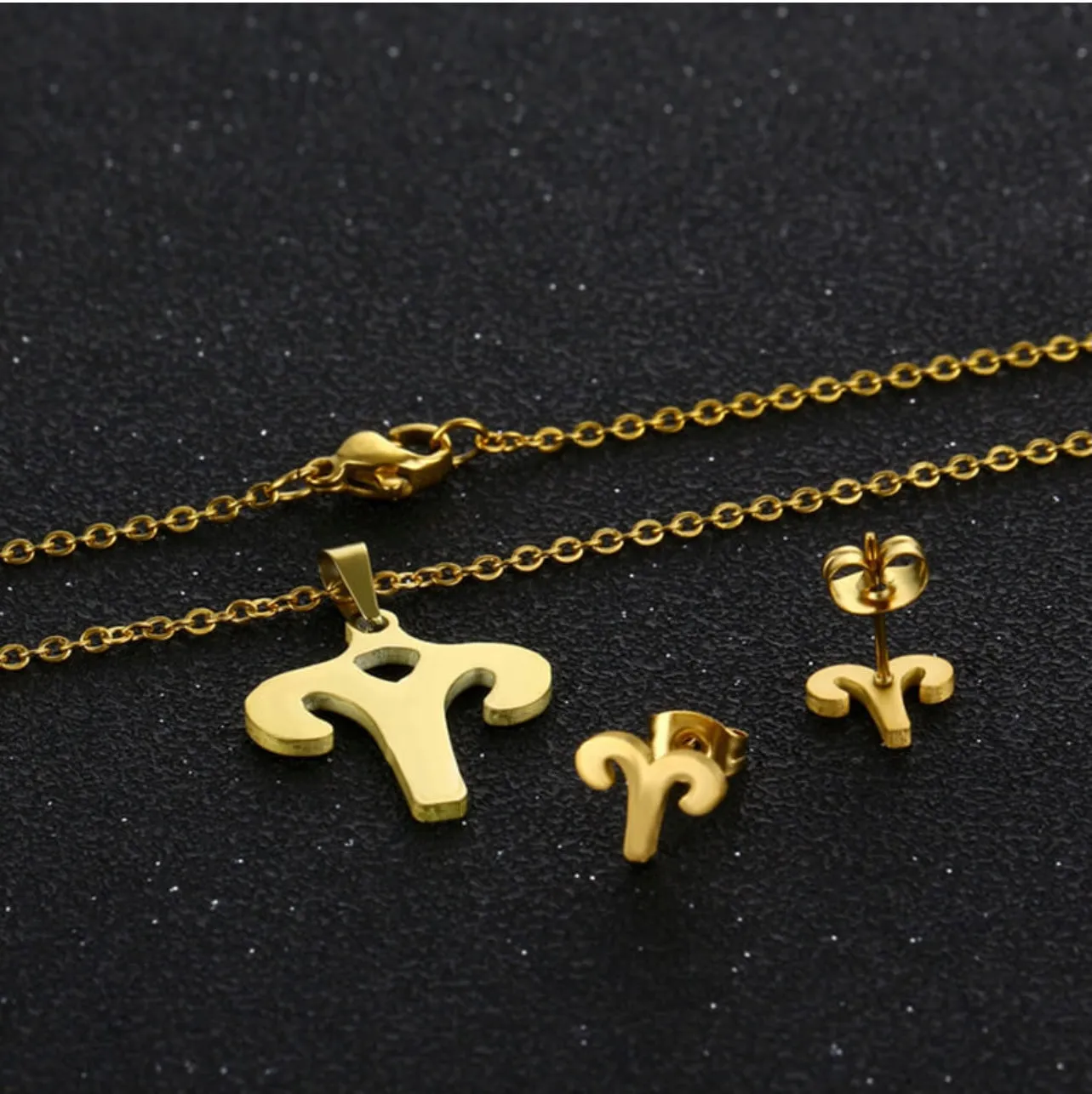 Stainless Steel Zodiac Necklace & Earrings Set