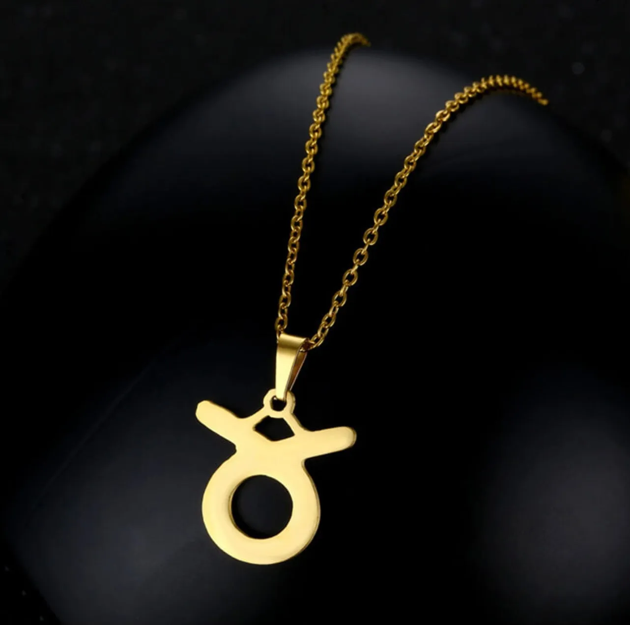 Stainless Steel Zodiac Necklace & Earrings Set