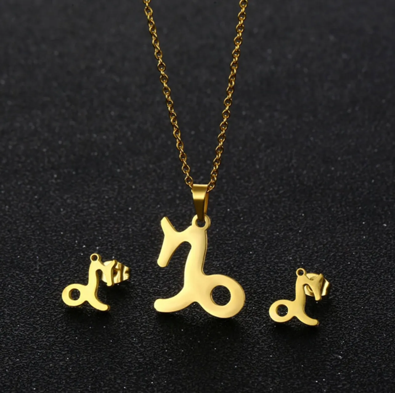 Stainless Steel Zodiac Necklace & Earrings Set